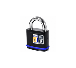 PADLOCK NEW HIGH RES SOLD SECURED SILVER.png