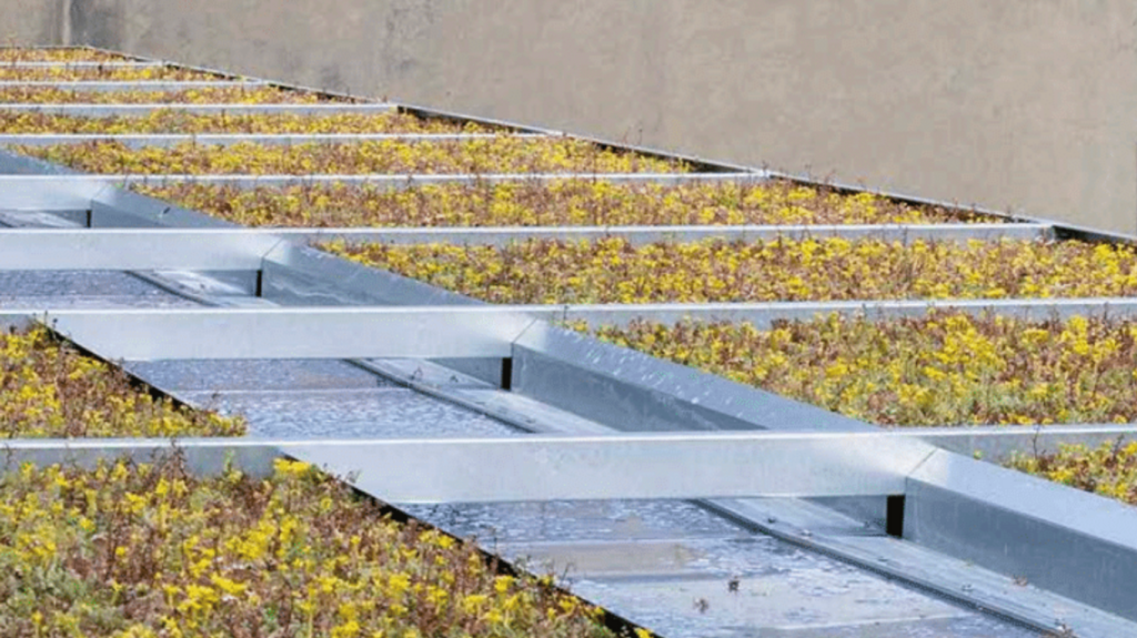 sedum roof option for shelter